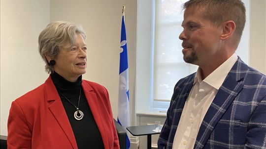 Des femmes quittent la politique ayant l'impression d'avoir été des «plantes vertes»